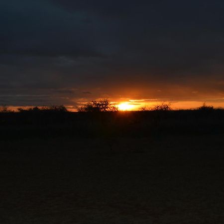 Wild Amboseli Ndovu Cottage. エクステリア 写真
