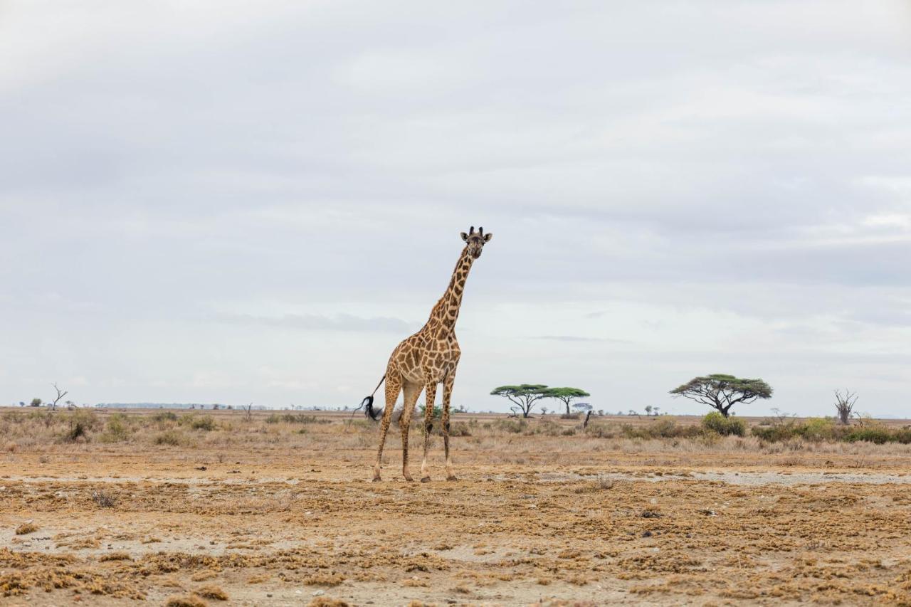 Wild Amboseli Ndovu Cottage. エクステリア 写真