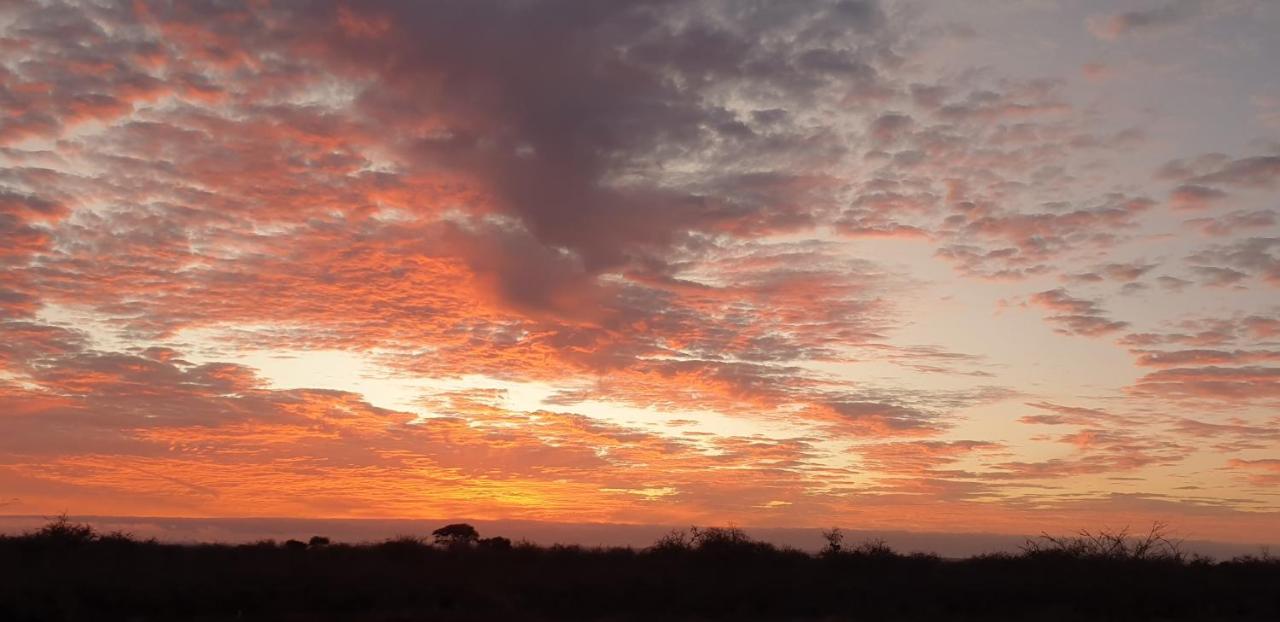 Wild Amboseli Ndovu Cottage. エクステリア 写真