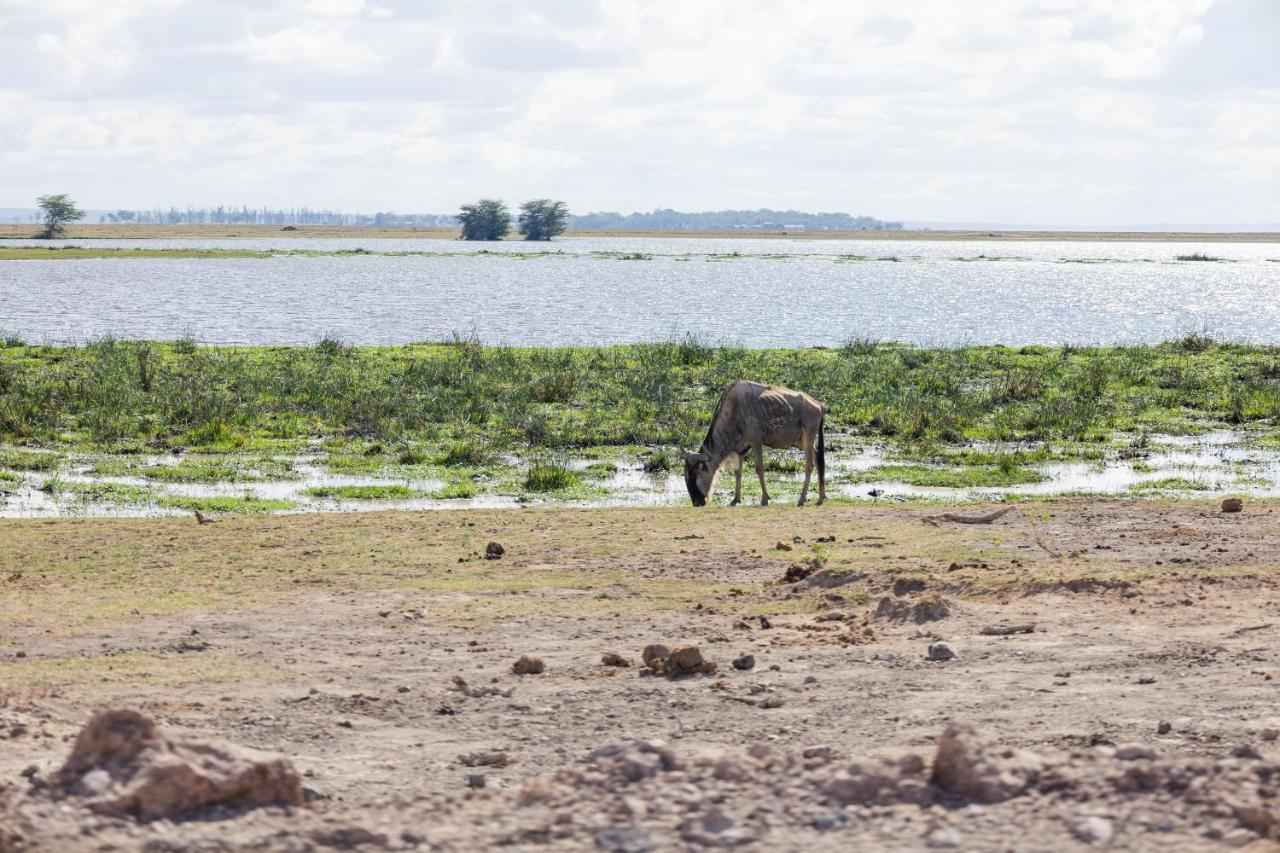 Wild Amboseli Ndovu Cottage. エクステリア 写真