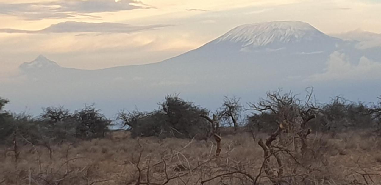 Wild Amboseli Ndovu Cottage. エクステリア 写真