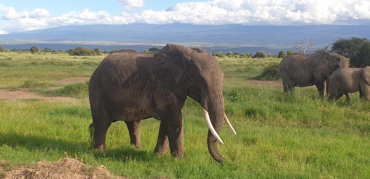 Wild Amboseli Ndovu Cottage. エクステリア 写真