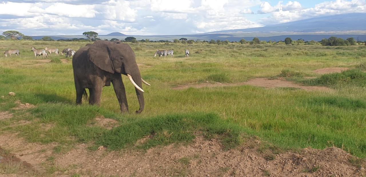 Wild Amboseli Ndovu Cottage. エクステリア 写真