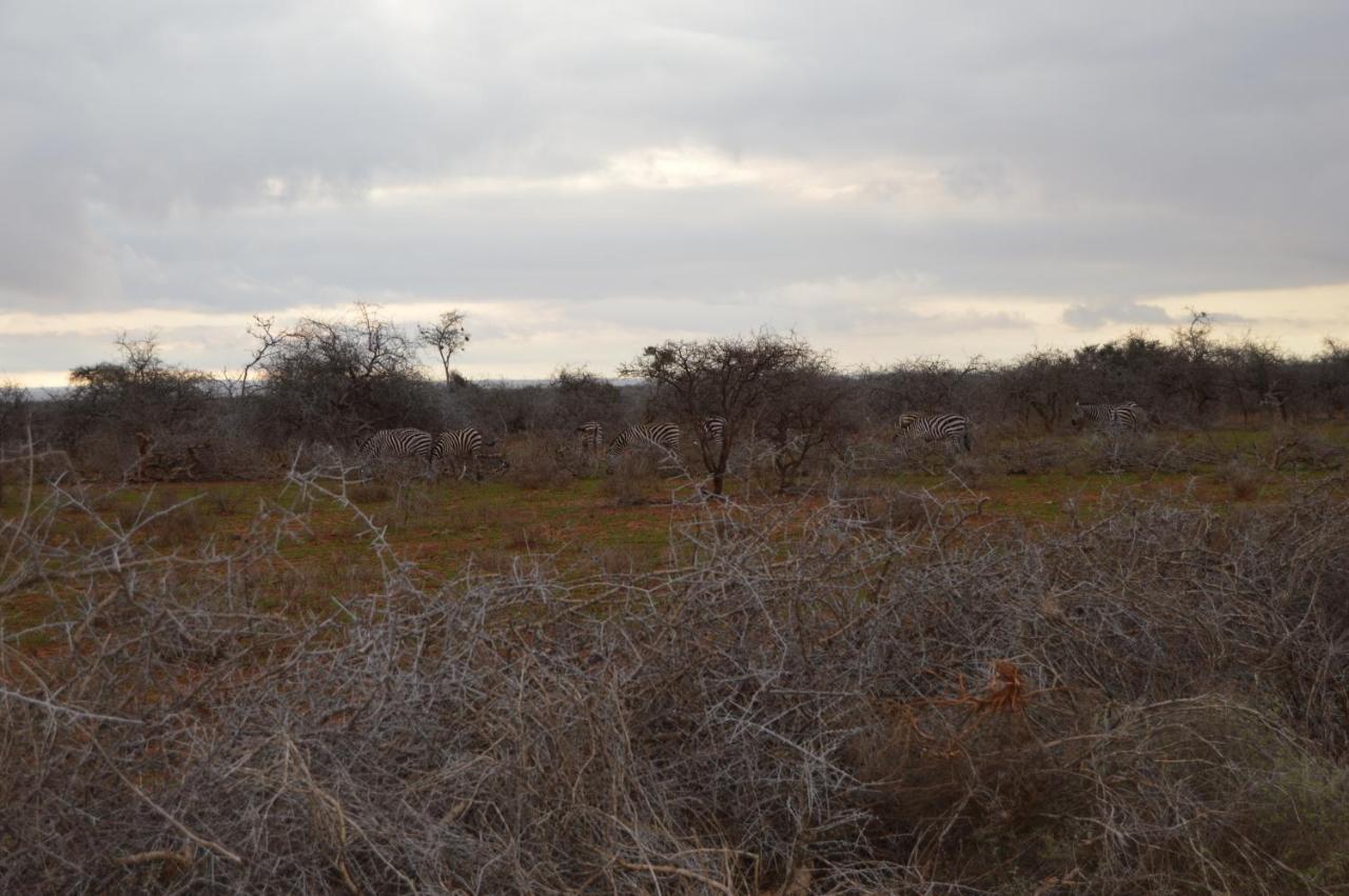 Wild Amboseli Ndovu Cottage. エクステリア 写真