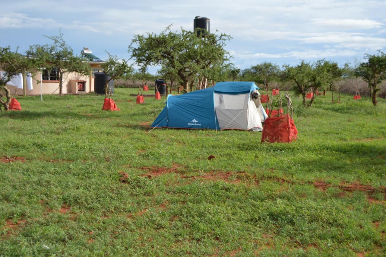 Wild Amboseli Ndovu Cottage. エクステリア 写真