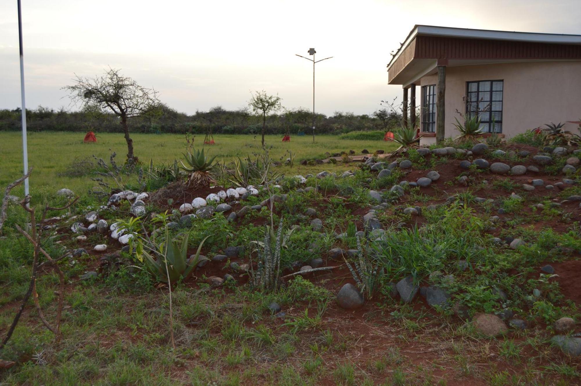 Wild Amboseli Ndovu Cottage. エクステリア 写真