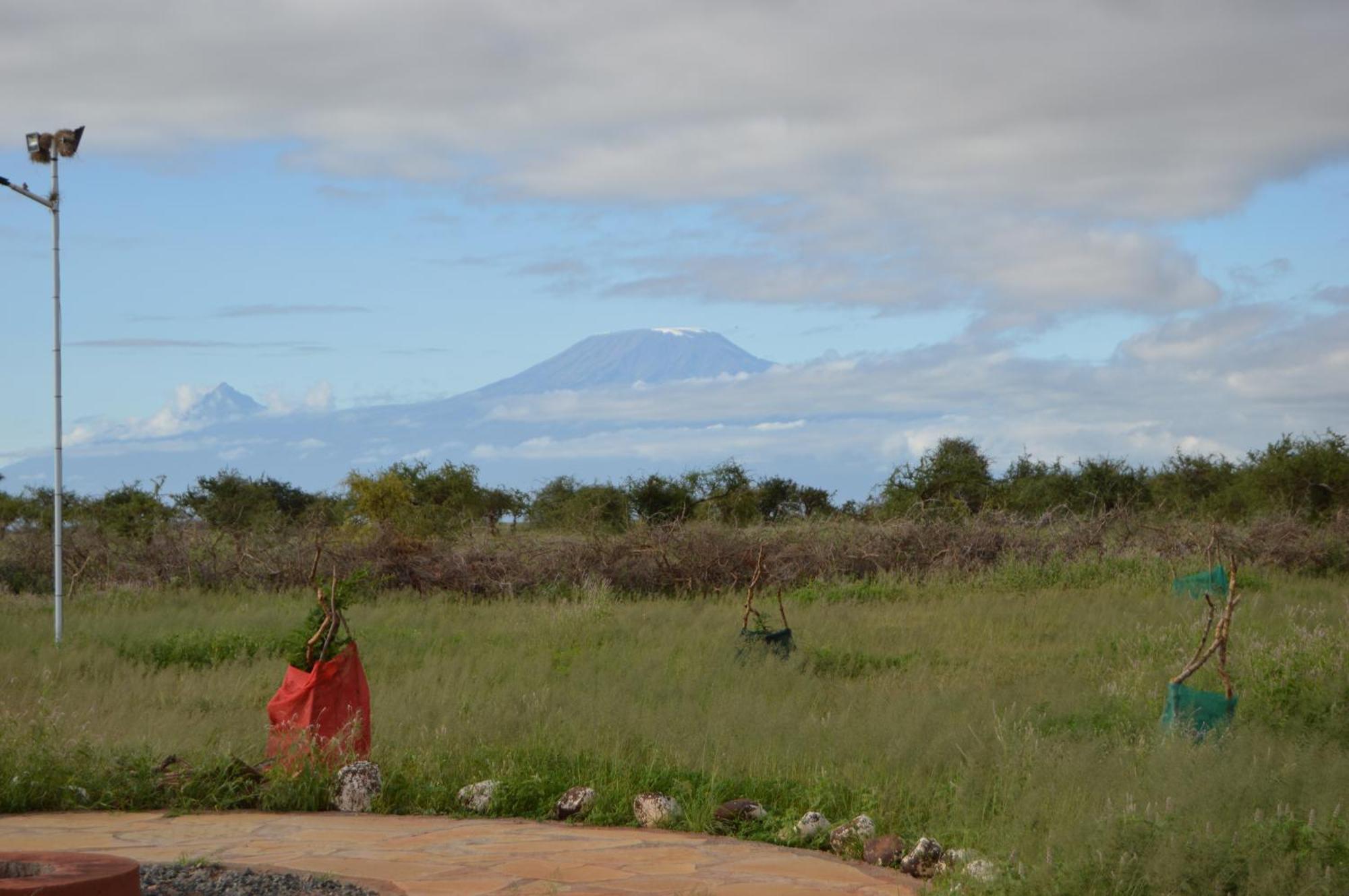 Wild Amboseli Ndovu Cottage. エクステリア 写真